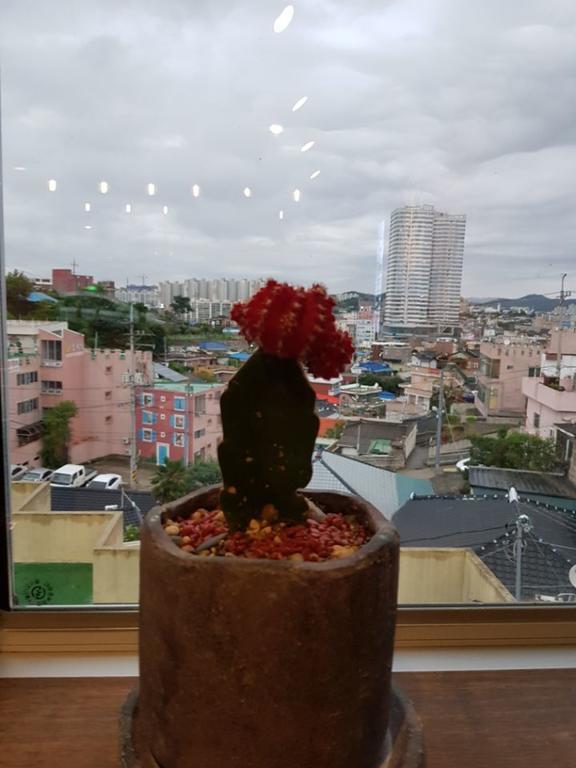 White Windmill Guesthouse Mokpo Exterior foto